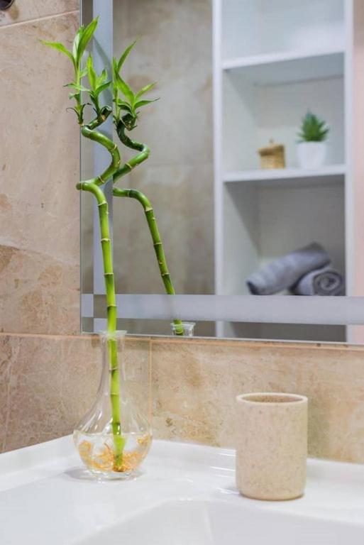 Apartamento Lar Doce Lar Porto Vila Nova de Gaia Eksteriør billede